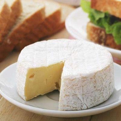 奶酪怎么挑 盘点市面上最常见的四种奶酪