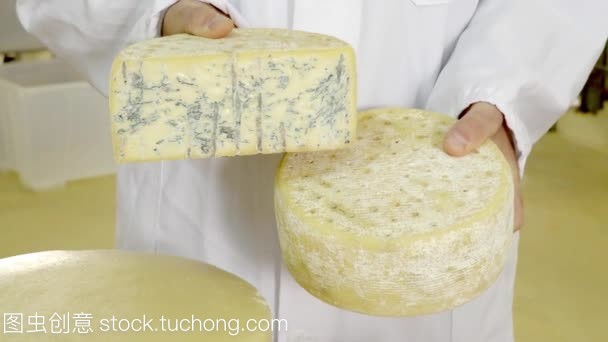 生产的奶酪